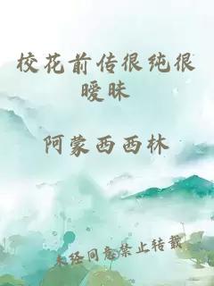 校花前传很纯很暧昧