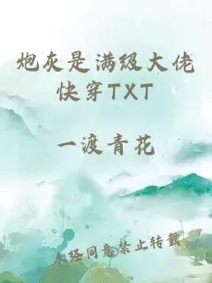 炮灰是滿級(jí)大佬快穿TXT