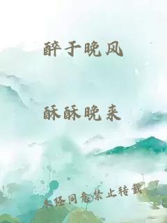 醉于晚風(fēng)