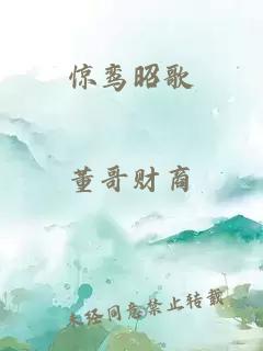 驚鸞昭歌