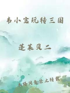 韋小寶玩轉(zhuǎn)三國