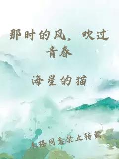 那時的風(fēng)，吹過青春