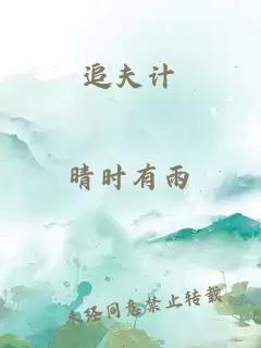 追夫計(jì)