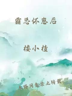 霸總懷崽后