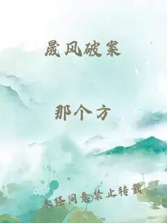 晟風(fēng)破案