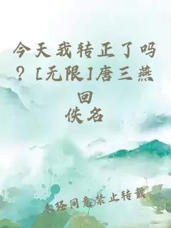 今天我轉(zhuǎn)正了嗎？[無限]唐三燕回