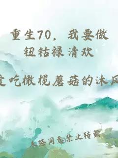 重生70，我要做鈕鈷祿清歡