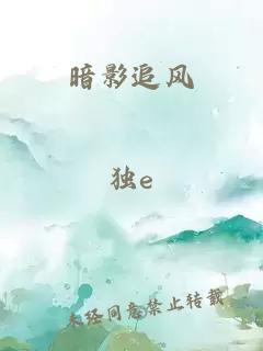 暗影追風(fēng)