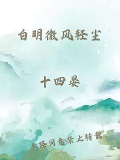 白明微風(fēng)輕塵