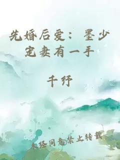 先婚后愛(ài)：墨少寵妻有一手