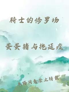 騎士的修羅場(chǎng)